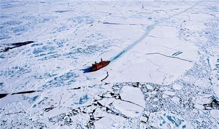 حرب جديدة.. آخر نبوءة  لـ"نوستراداموس الحي" هل تتحقق في الـ 2026؟ 