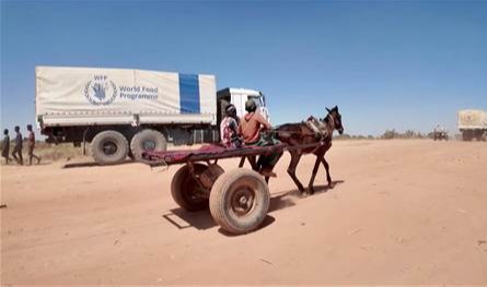 "نفاد مساعدات الغذاء" يهدّد دولة عربية.. الوضع مأسويّ