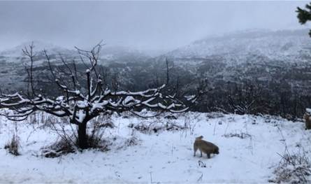 الأمطار لم تنتهِ بعد.. منخفضات مُتتالية ستضرب لبنان واستعدوا لموجة برد قارس في هذا التاريخ
