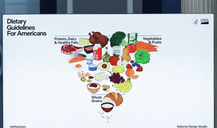 هرم غذائي "مقلوب" في أميركا.. أستاذة تغذية: مربك ولا يشرح حصص الطعام