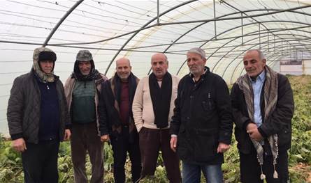 نقابة مزارعي البيوت البلاستيكية ناشدت تعويض المتضررين