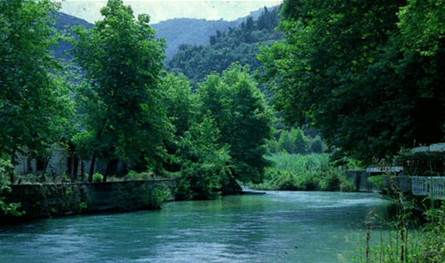 كان في داخلها 4 أشخاص... سيارة سقطت في مجرى نهر بسري