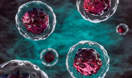 باحثون ينجحون في طباعة هياكل ثلاثية الأبعاد داخل خلايا بشرية حية 