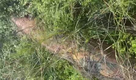 بالفيديو: العثور على صاروخ غير منفجر في المنصوري