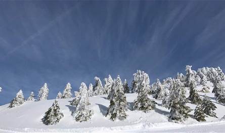 صقيع وجليد يسبقان منخفضاً جوياً.. مصلحة الأرصاد تحذر المزارعين والسائقين