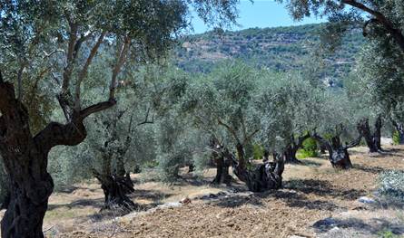 رغم الخسائر الكبيرة... مُبادرات لدعم الجنوبيين