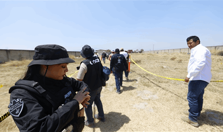 المكسيك تسلم 37 عضواً من "عصابات مخدرات" إلى الولايات المتحدة