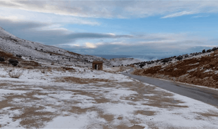 الجليد يعطل الحركة في جرد الضنية.. ويسبب أضراراً بالمزروعات