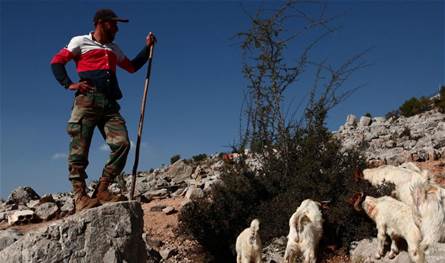 رعاة الجنوب في مرمى المسيّرات.. لقمة العيش مغموسة بالخطر