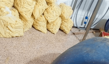 أُقفل بالشمع الأحمر.. معمل لتوضيب وتقطيع البطاطا غير مطابق للشروط الصحية