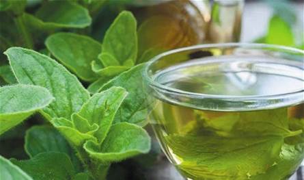 ما لا يعرفه الكثيرون عن شاي الأوريغانو