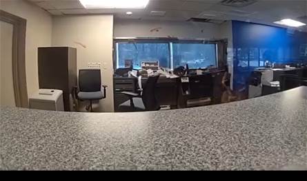 اقتحام لأحد المصارف.. ومُفاجأة بهوية السارق! (فيديو)