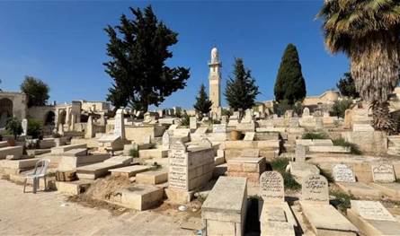 لمدة 36 ساعة.. طفلة صوّرت فيلما بين المقابر وإشادات