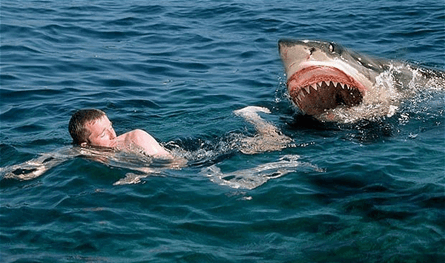 هاجمه القرش.. وفاة مأسوية لابن 12 عاما