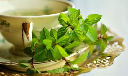 إليكم فوائد الشاي الأخضر وأسراره الصحية على الجسم والعقل