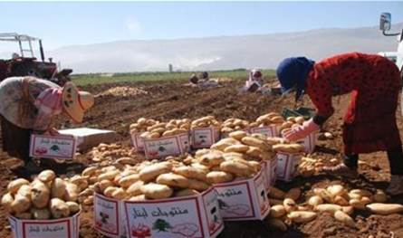 لبنان – التمرد على القرار