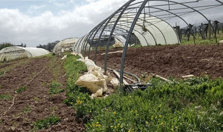 الاعتداءات لن تكسر إرادة اللبنانيين… بيان من نقابة البيوت البلاستيكية