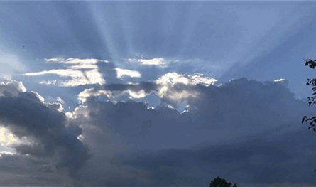 كيف سيكون طقس الشعانين؟