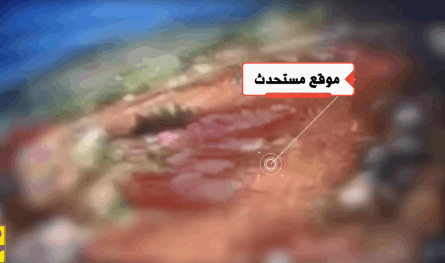 بالفيديو.. هكذا استهدف "الحزب" ناقلة جند إسرائيلية مدرّعة