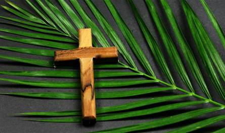 عكار استقبلت أحد الشعانين بصلوات وزياحات ورسائل محبة وسلام