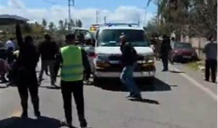 شهداء... إليكم حصيلة "غارة القاسمية"