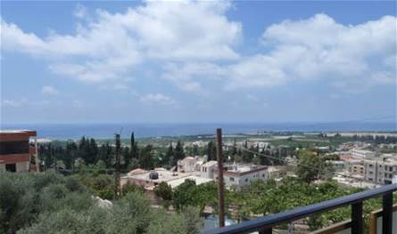 إستهداف دراجة ناريّة في المنصوري... واستشهاد شخصين