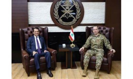 هيكل استقبل السفير القطري ونائبين وعرض مع الهزاع تعزيز التنسيق بين الجيش والسلطات السورية