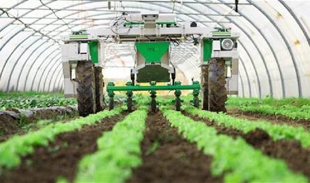 مطالبة بـ"لوائح علنية".. اتحاد المزارعين يدعو لشفافية كاملة في توزيع المساعدات