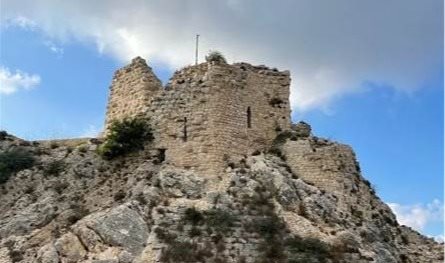 استهداف بـ"المدفعية".. قصف يطالُ قلعة الشقيف