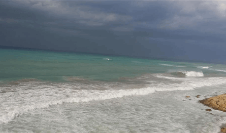 انتشال جثة شاب قبالة شاطىء وادي الزينة