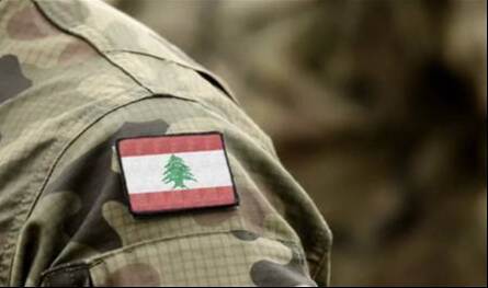 الجيش: نخلي جسر القاسمية البحري - صور