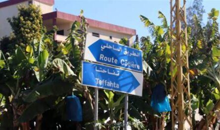 مجزرة في تفاحتا.. شهداء وجرحى إثر قصف إسرائيليّ