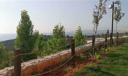 "مجزرة بيئية" في البترون.. شكوى كشفتها