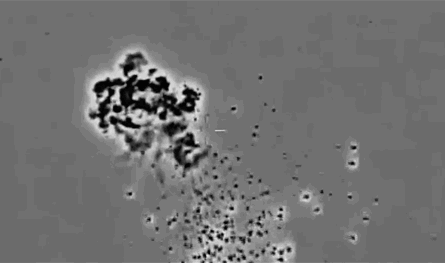 لبنان – هكذا يتم اعتراض الطائرات المسيرة من البحر (فيديو)