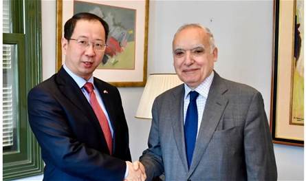 ان سلامة يبحث مع السفير الصيني تعزيز التعاون الثقافي