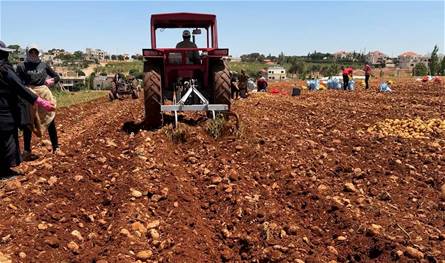 بالأرقام.. هذا ما فعلته الحربُ بـ"زراعة لبنان"!