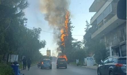 شهداء... هذه حصيلة "غارة شوكين"