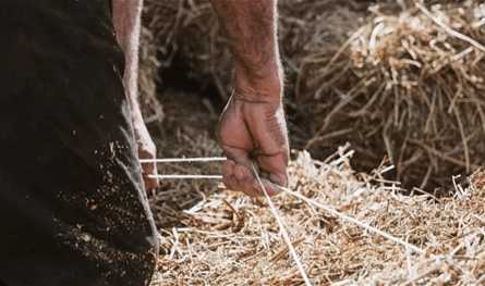 بتمويل ياباني.. الفاو والزراعة تطلقان مشروعاً لدعم 230 أسرة في الجنوب والنبطية