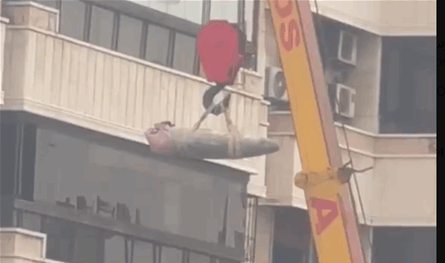 بالفيديو.. تفكيك قنبلة إسرائيلية في الضاحية