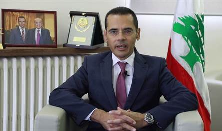 علامة بحث مع وفد برلماني فرنسي تعزيز التعاون واستقرار لبنان