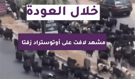 بالفيديو: خلال العودة.. مشهد لافت على اوتوستراد زفتا