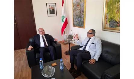 وزير العمل بحث والسفير المصري أوضاع العمالة المصرية