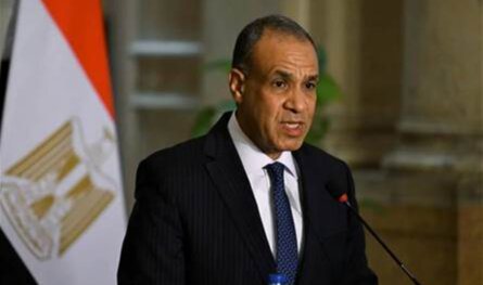 عن لبنان.. ماذا قال وزير خارجية مصر؟