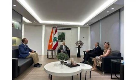 باسيل بحث مع سفير الأمم المتحدة دور المنظمة في تثبيت وقف إطلاق النار والانسحاب الاسرائيلي