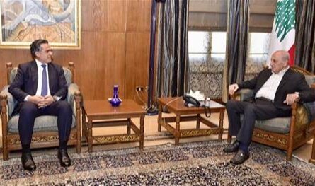 بري عرض المستجدات مع السفير المصري وحمية.. موسى: نسعى بقوة لوقف الاعتداءات الإسرائيلية