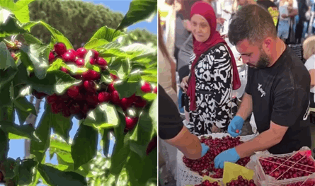 المواسم الزراعية... احتفالات تُحرّك الاقتصاد وتحافظ على هوية القرى اللبنانية