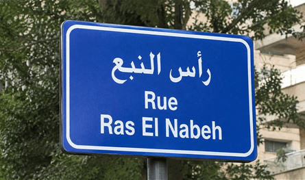 عن "خلية رأس النبع".. هذا ما قاله تقرير إماراتيّ