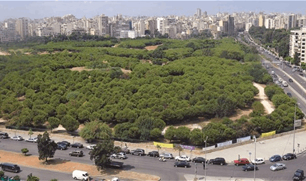 برعاية محافظ بيروت.. حملة لتنظيف حرش بيروت