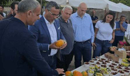 من وزارة الزراعة.. مشروع لتوزيع الشتول على 1150 مزارعاً