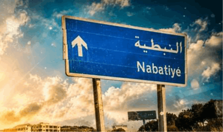 سرقة "باهظة" في النبطية.. هذه قصة "قرون العاج"!